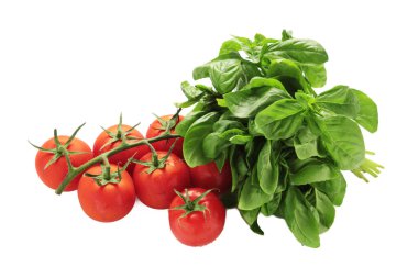 Beyaz arka planda izole edilmiş kiraz domatesleri ve yeşil fesleğen. Üst görünüm