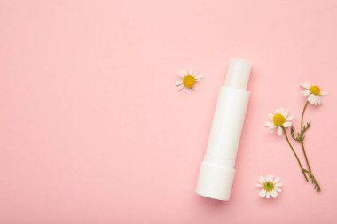 Dudak kremleri ve papatya çiçekleri pembe arka planda. Üst görünüm