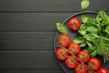 Siyah arka planda, kiraz domatesleri ve yeşil fesleğen. Üst görünüm