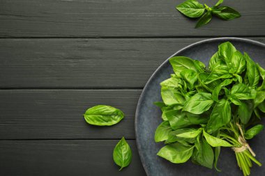 Siyah arka planda siyah tabakta yeşil fesleğen otu. Üst görünüm