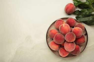 Tatlı şeftaliler ve açık gri arka planda yapraklar. Üst görünüm