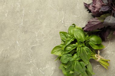 Gri beton arka planda yeşil ve mor fesleğen otu. Üst görünüm