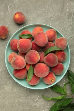 Gri beton arka planda nane aromalı tatlı şeftali ve yapraklar. Mesaj için yer var. Üst görünüm