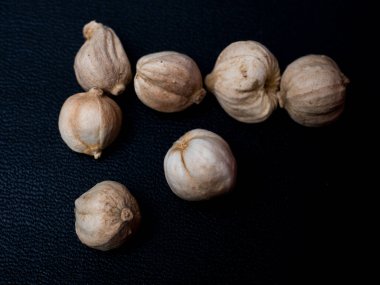 Kapulaga jawa (Wurfbainia compacta) bitkisel ilaçlar ve yemek pişirmek için kullanılabilen bir bitki türüdür.