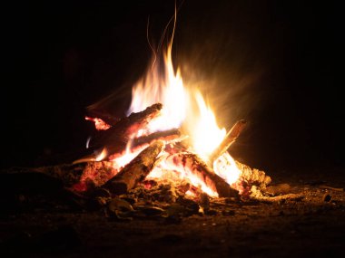 Gece ormanda şenlik ateşi, fotoğrafa yakın çekim..