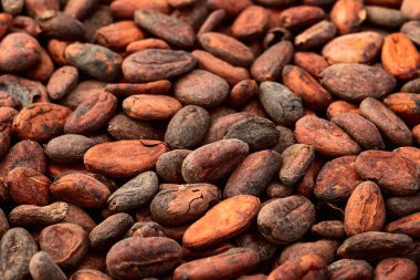 Kakao çekirdeği tanecikleri. Çikolata hazırlamak için gerekli malzemeler. Yemek arkaplanı. Üst görünüm