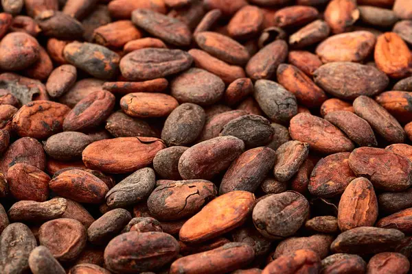 Kakao çekirdeği tanecikleri. Çikolata hazırlamak için gerekli malzemeler. Yemek arkaplanı. Üst görünüm