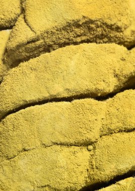 Küf bakterisiyle birlikte ekmek. Makro fotoğrafçılık  . 