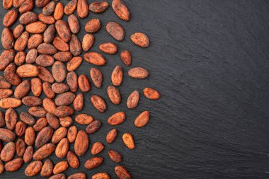 Kakao çekirdeği tanecikleri. Çikolata hazırlamak için gerekli malzemeler. Yemek arkaplanı. Üst görünüm