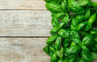 Basil arka plan fotoğrafçılığını bırakıyor. en üstteki görünüm