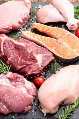 Çiğ et ve balık karışımı. Somon, sığır eti, domuz eti, tavuk suyu. En iyi görüntü fotoğrafçılığı