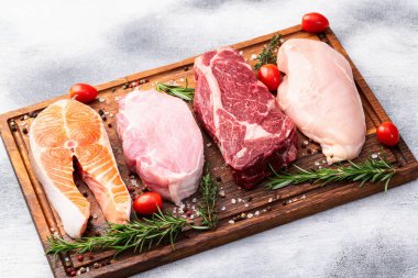 Çiğ et ve balık karışımı. Somon, sığır eti, domuz eti, tavuk suyu. En iyi görüntü fotoğrafçılığı