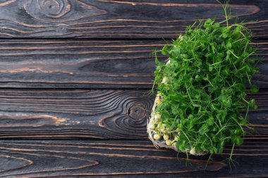 Organik mikroyeşil bezelye fotoğrafçılığı. Sağlıklı yiyecekler. Ahşap arkaplanda üst görünüm