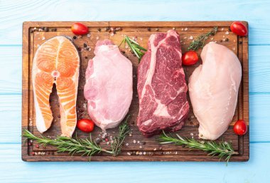 Çiğ et ve balık karışımı. Somon, sığır eti, domuz eti, tavuk suyu. En iyi görüntü fotoğrafçılığı