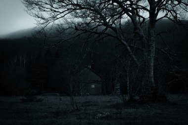 Abandoned spooky house in the dark foggy forest