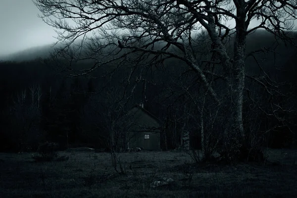 Abandoned Spooky House Dark Foggy Forest — Foto de Stock
