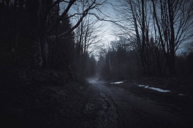 Korkutucu kadının korku sahnesi, mavimsi klasik görünüş. Beyaz elbiseli kadın hayaletin kadın hayaleti.