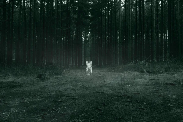 Scena Grozy Strasznej Kobiety Mglistym Lesie — Zdjęcie stockowe