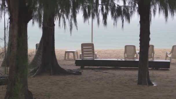 Déšť Pláži Silné Deště Stromech Listí Prší Den Tropické Pláži — Stock video