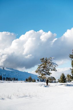 Beautiful Winter Mountain Landscape with Fog and Clouds .Vitosha Mountain, Bulgaria