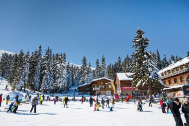 SOFIA, BULGARIA - FEBRUARY 10, 2023: People with sleds on a slope in the winter mountain .Vitosha Mountain ,Aleko Hut