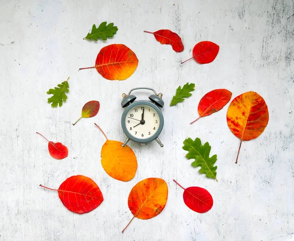 Fall Back Time - Daylight Savings End - Return To Winter Time. Autumn Leaves and Vintage Clock