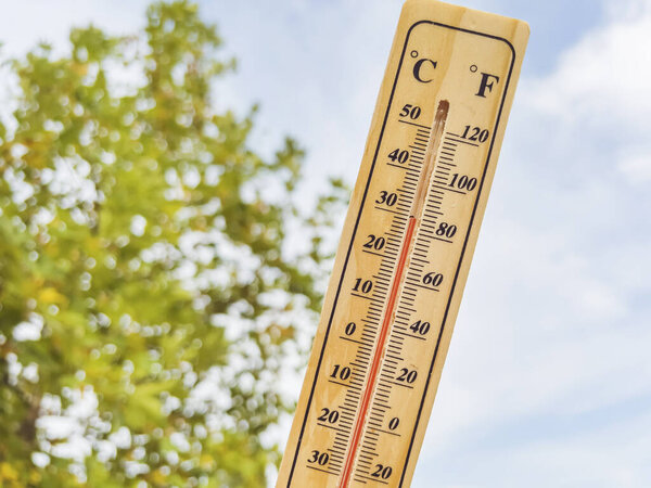 Деревянный термометр с красной измерительной жидкостью на горном фоне