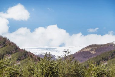 Çam ağaçları ve bulutlarla güzel bir bahar manzarası. Vitoşa Dağı, Bulgaristan