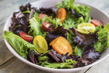 Kırmızı ve sarı domatesli taze yeşil salata karışımı. 