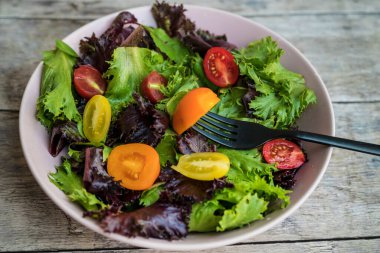 Kırmızı ve sarı domatesli taze yeşil salata karışımı. 