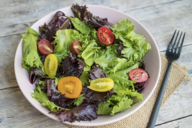 Kırmızı ve sarı domatesli taze yeşil salata karışımı. 