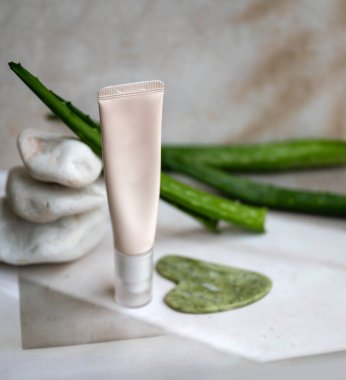 Aloe vera yüz kremi ve aloe vera taze yapraklar 