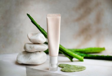 Aloe vera yüz kremi ve aloe vera taze yapraklar 