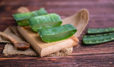 Aloe vera gölgelerde taze yapraklar 