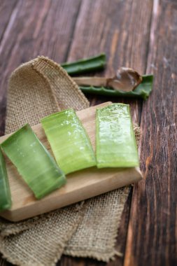 Aloe vera gölgelerde taze yapraklar 