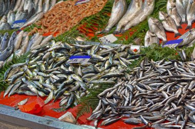 Fish and shellfish for sale at market stall seafood