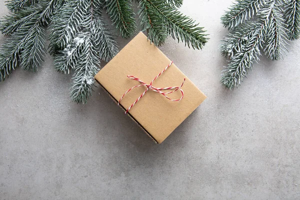 圣诞礼品盒假期概念绿枝的俯视图 — 图库照片