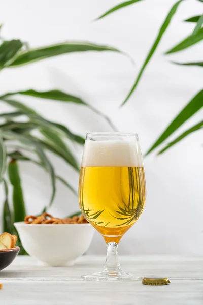 Glass Light Beer Snacks Bowl Food Drink Summer Concept — Stock Photo, Image