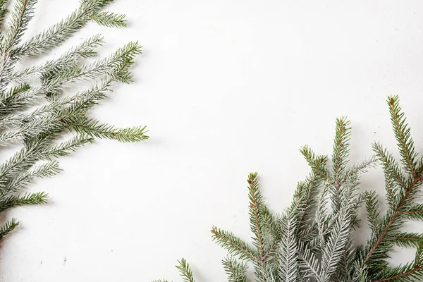 Fehér Nyaralás Háttér Zöld Havas Ágak Másolás Tér — Stock Fotó