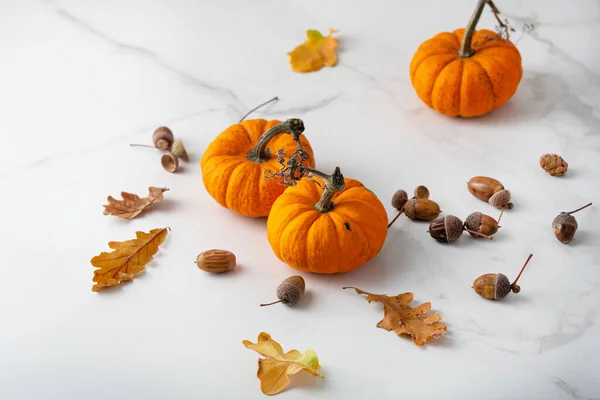 stock image Autumn concept pumpkin and dried leaves on light surface october