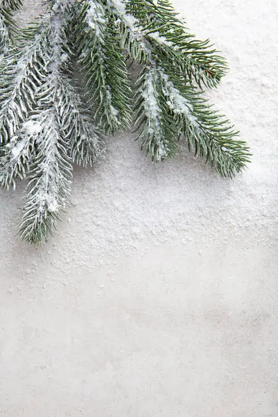 Groene Tak Van Kerstboom Achtergrond Kopiëren Ruimte Sneeuw — Stockfoto