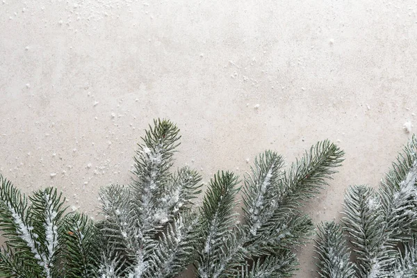Πράσινο Κλαδί Του Χριστουγεννιάτικου Δέντρου Φόντο Αντίγραφο Χώρο Χιόνι Έννοια — Φωτογραφία Αρχείου