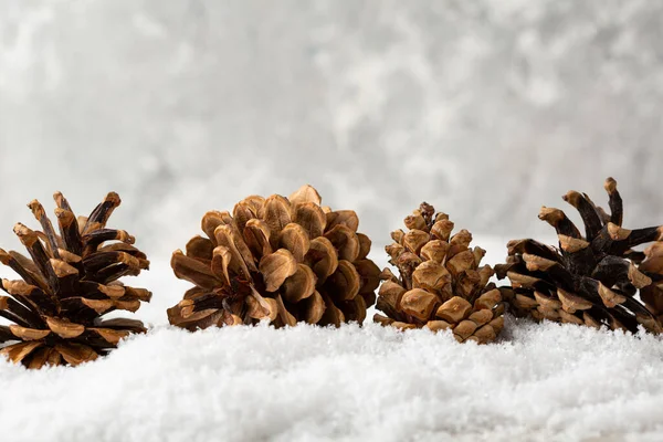 Pine cones on snow holiday winter background