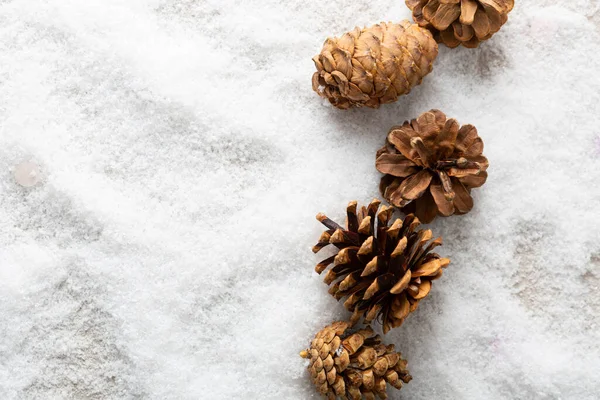 Pine cones on snow holiday winter background copy space top