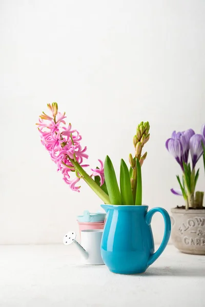 Voorjaar Achtergrond Bloemen Hyacint Krokussen Licht Oppervlak — Stockfoto