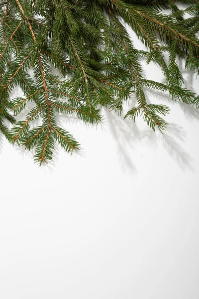 Светлый Рождественский Фон Зеленой Елкой — стоковое фото