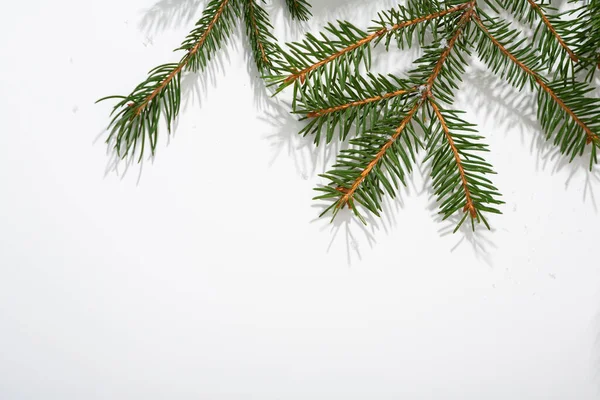 Heller Weihnachtlicher Hintergrund Mit Grünem Fichtenkopierraum — Stockfoto