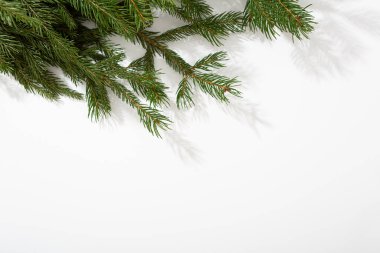 Yeşil dallı beyaz Noel arkaplanı tatil konsepti satışı