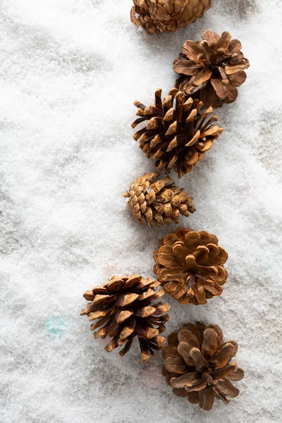 装飾松コーンと雪の上のビューのコピースペースと冬の休日の背景 — ストック写真