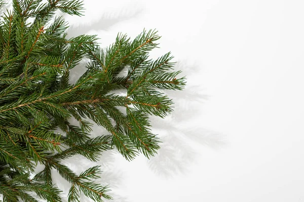 Fehér Karácsonyi Háttér Zöld Ágak — Stock Fotó